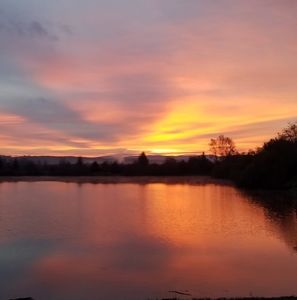 Meet your Posher, Dixie